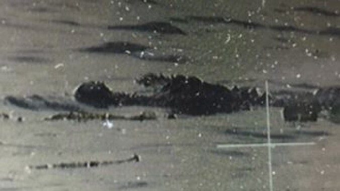 Op dit beeld zou de alligator een lijk vasthebben.