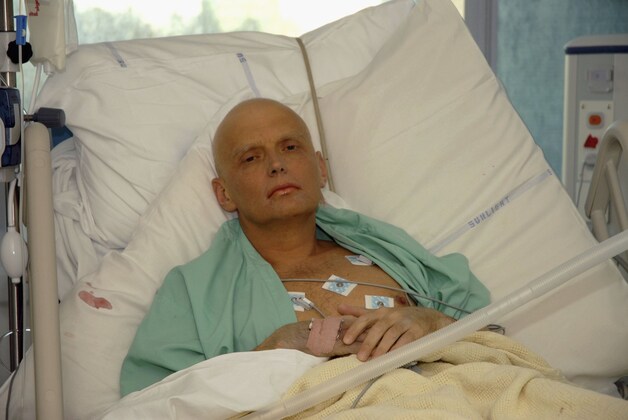 Volgens bronnen in The Times werkte Steele samen met de voormalige Russische spion Alexander Litvinenko, die in 2006 in Londen om het leven werd gebracht met het radioactieve polonium-210.