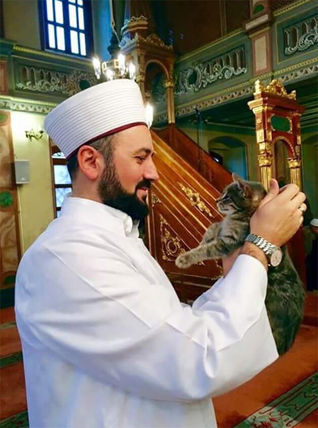 Mustafa Efe geeft straatkatten onderdak in zijn moskee.