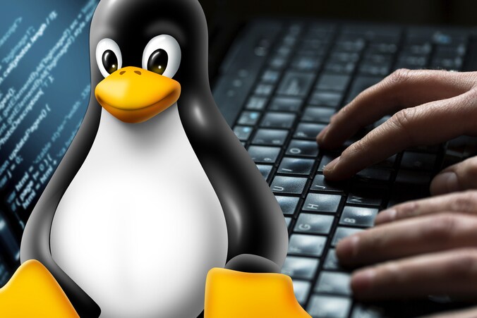 Vooral gebruikers van Linux lopen gevaar.