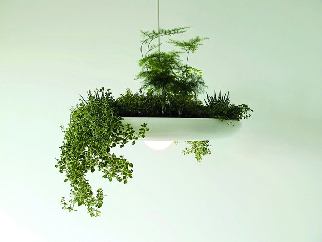 Mini tuintjes, groots effect