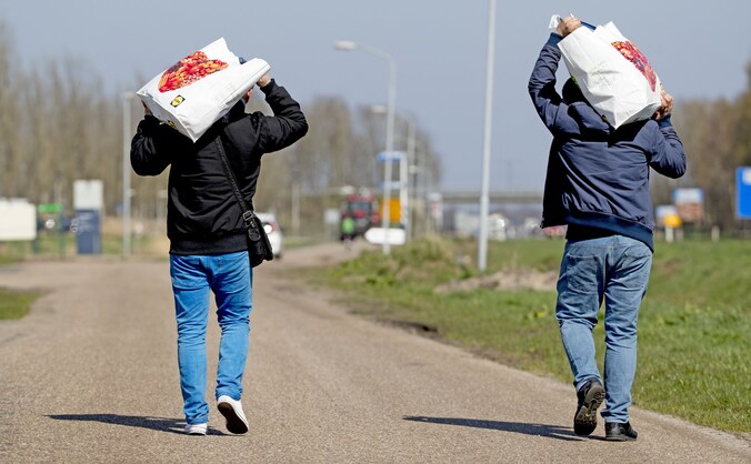 Foto ter illustratie.