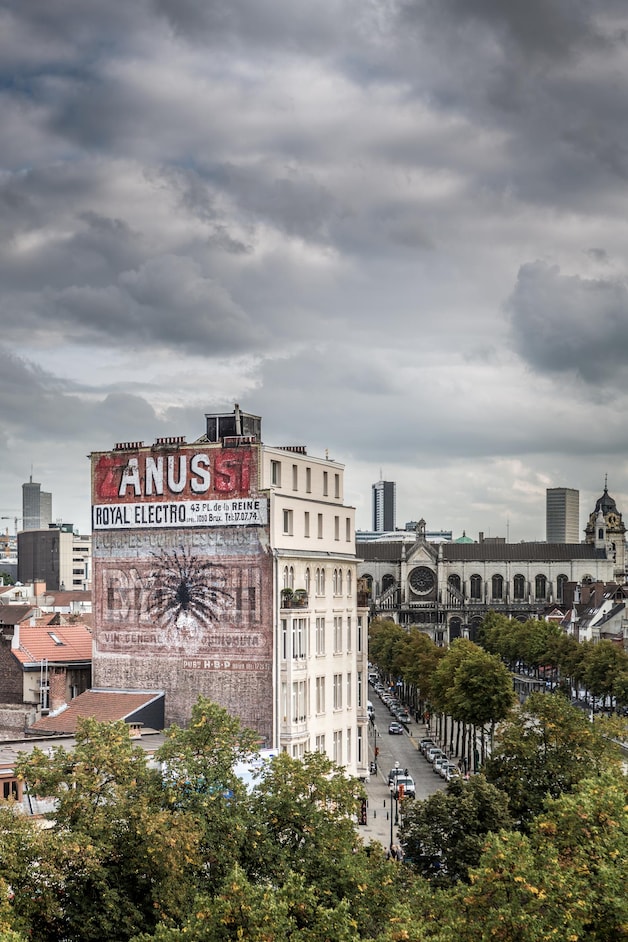 Eind september 2016 dook deze 'anusmuur' op in het centrum van Brussel.