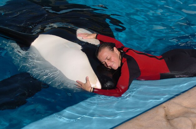 Dawn Brancheau met Tilly in betere tijden.