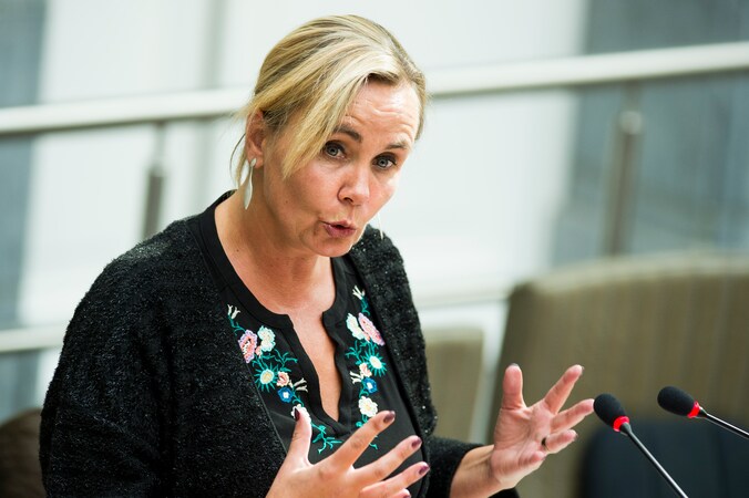 Vlaams minister Liesbeth Homans (N-VA).