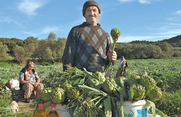 Langs de kant van de weg prijzen lokale boeren onder andere artisjokken aan, één van de lekkernijen van Karaburun.