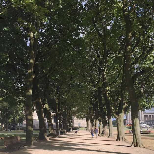 Jubelpark