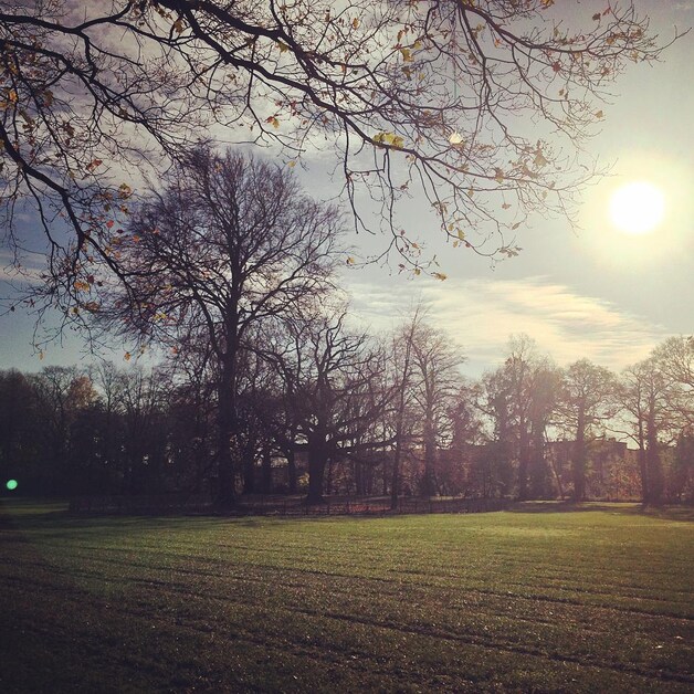 Boelaarpark