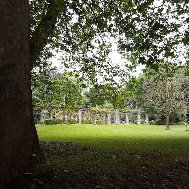 Citadelpark