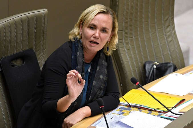 Minister Liesbeth Homans ( NVA )