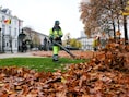 Net Brussel voert strijd tegen berg bladeren na storm Austen: extra aandacht voor tramsporen en fietspaden