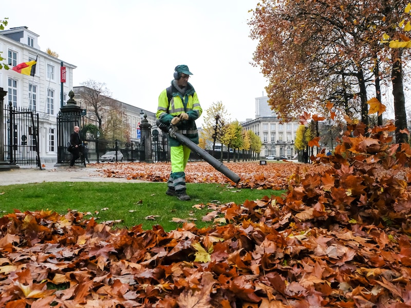 Net Brussel voert strijd tegen berg bladeren na storm Austen: extra aandacht voor tramsporen en fietspaden