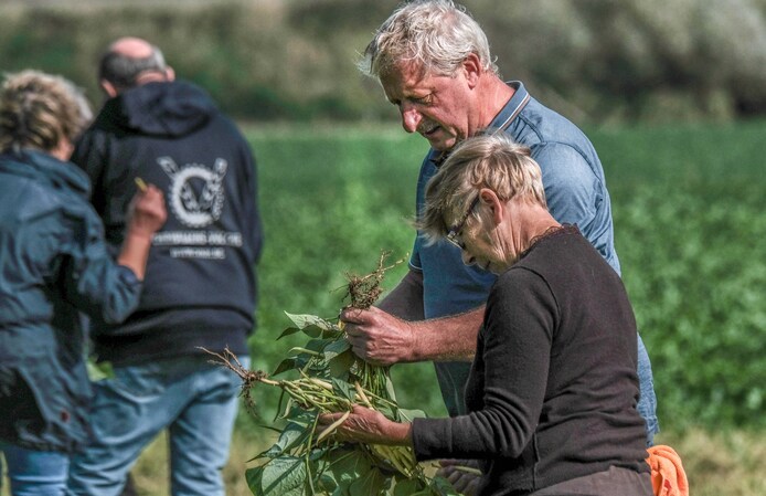  Niemand Wil Onze Boontjes Dus Geven We Ze Maar Weg Landbouwster 
