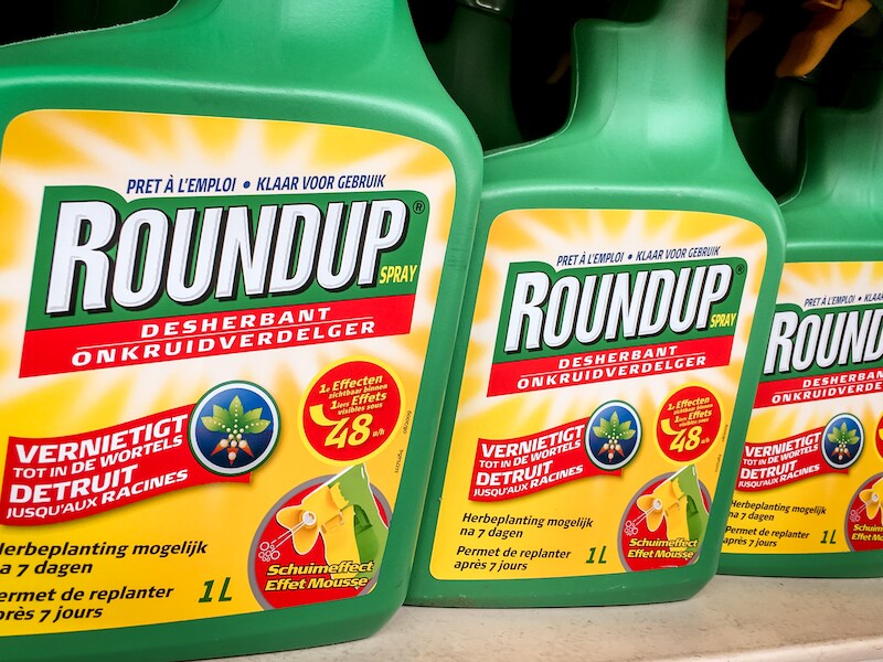 Glyfosaat, dat in onkruidverdelgers als Roundup zit, is controversieel wegens mogelijke risico's voor de gezondheid.