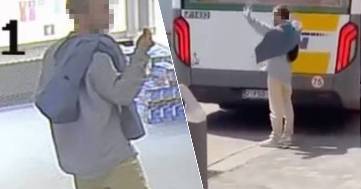 Dader (38) van moord op lijnbus in Antwerpen aangehouden op verdenking ...