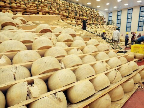 De beschadigde kazen van Grana Padano.
