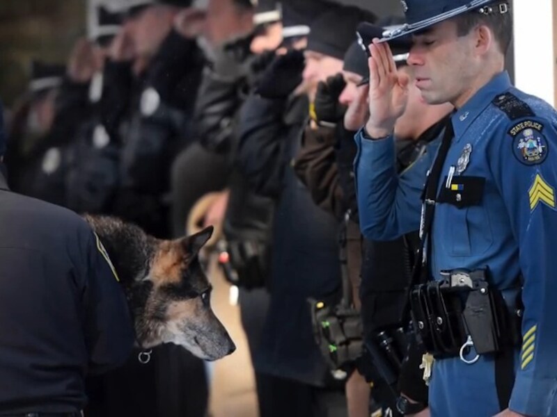 Agenten bewijzen K9-hond Sultan een laatste indrukwekkende eer.