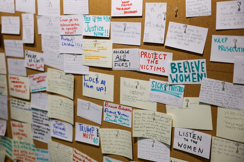 Image of 'The Donald J. Trump and Jeffrey Epstein Memorial Reading Room'. 
