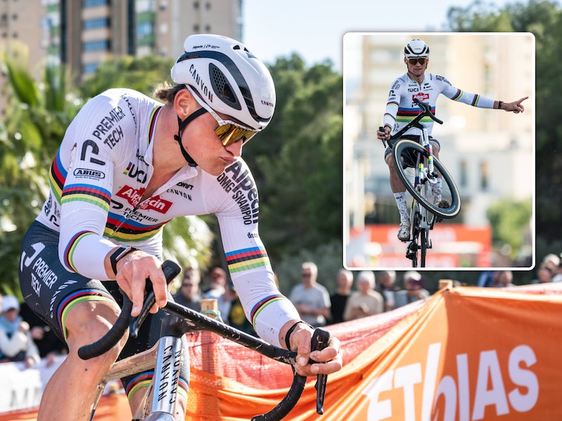 De beste veldrijder aller tijden? Hoe Mathieu van der Poel elke cross alleen maar groter wordt, ook in de cijfers