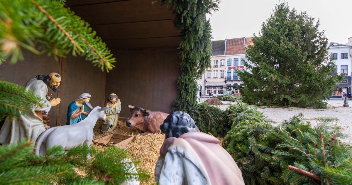 Na nachtelijke rit uit Oostkantons: “prachtexemplaar” van kerstboom staat op Grote Markt van Mechele