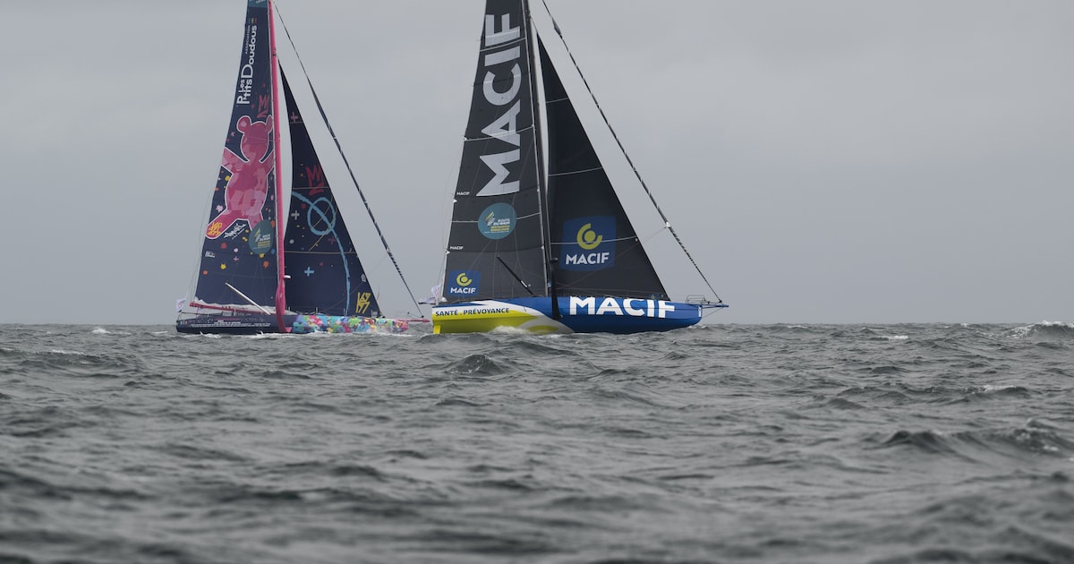 Belgische zeilkampioenschappen trekken sporters naar Nieuwpoort