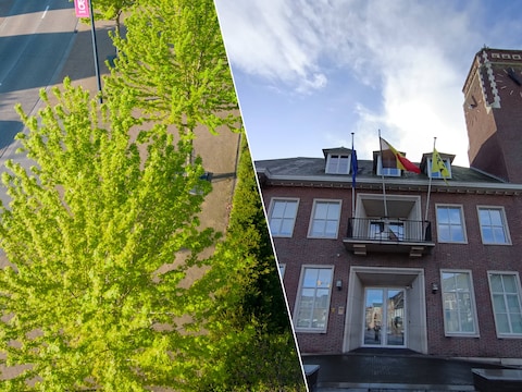 Actie 'Pelt Boomt', Gemeentehuis Pelt