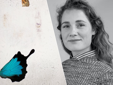 Vibeke Mascini, Z33 solotentoonstelling. 