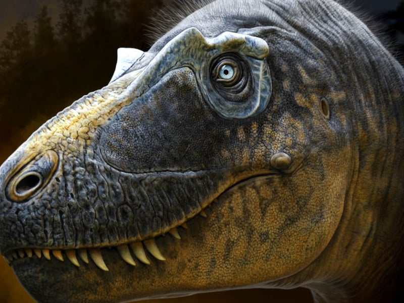 Reconstructie van hoe de nieuwe tyrannosaurus, de Daspletosaurus wilsoni, er zou kunnen hebben uitgezien. 