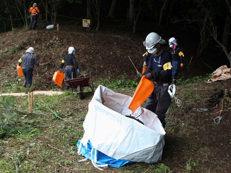 Arbeiders verwijderen besmette grond en bladeren in Fukushima. Volgens de Japanse wet mogen jongeren onder 18 niet werken in radioactieve gebieden.