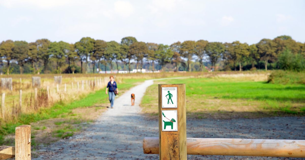 Opening ‘Bommenbos’ in Parkbos opnieuw vertraagd: “Nat weer verhinderde ...
