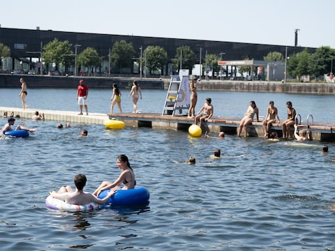 Het Bonapartedok in Antwerpen. 