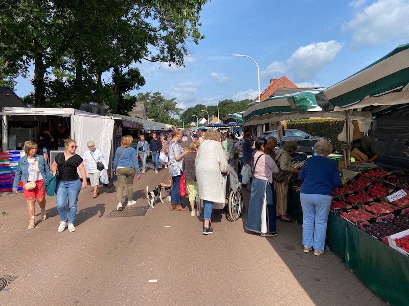 De markt in Zoersel 