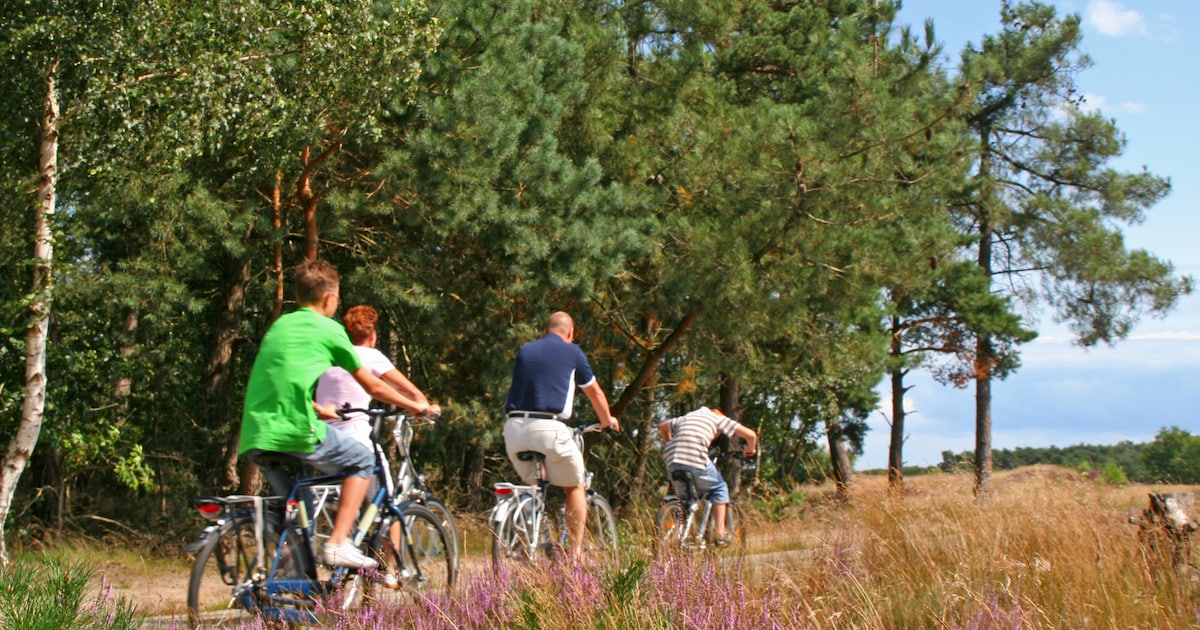 dit-zijn-de-10-mooiste-fietsroutes-van-vlaanderen-mobiliteit-hln-be