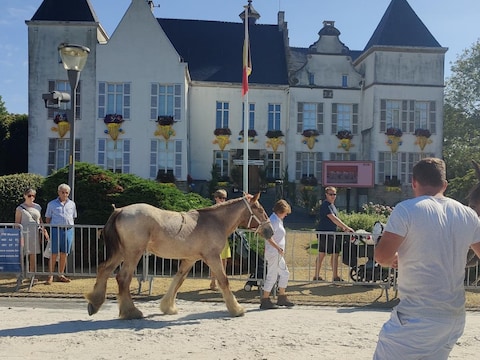 Wemmel Jaarmarkt: archiefbeeld