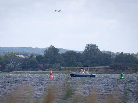 Een politieboot vaart in de baai van Wismar waar er opnieuw een walvis gespot werd.