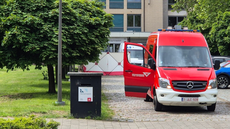 Meisje (16) overleden na aanrijding met bestelwagen op Linkeroever in  Antwerpen, chauffeur (47) in shock afgevoerd | Regio | HLN.be