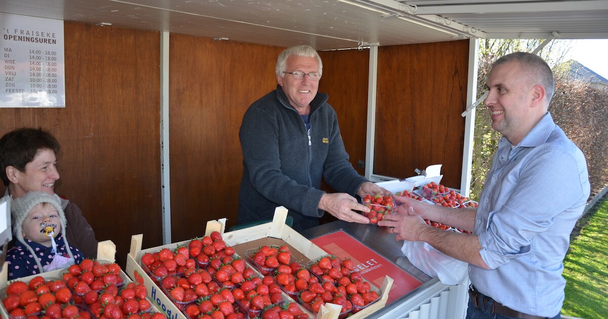 Daar is de lente ... Daar zijn de eerste aardbeien | Regio | HLN.be