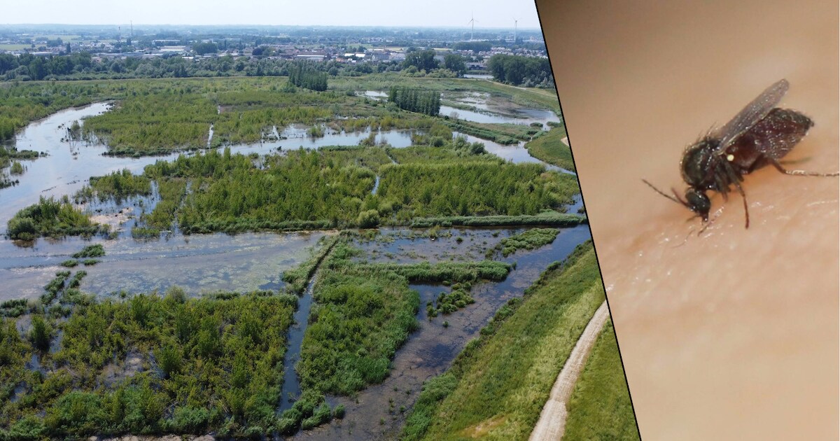 Vlaamse Waterweg tevreden met uitspraak vrederechter in ...
