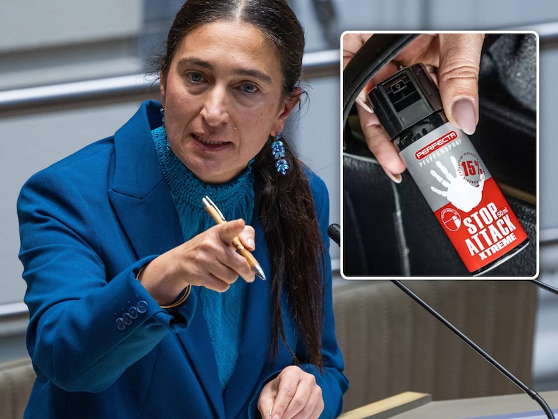 Vlaams minister van Justitie Zuhal Demir (N-VA) donderdag in het Vlaams Parlement.