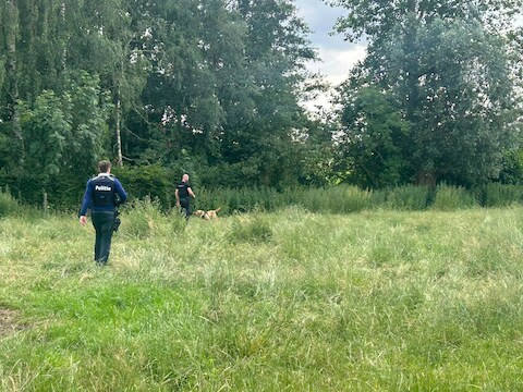 Speurhonden werden ingezet om het spoor van de voortvluchtige bestuurder te volgen vanaf de achtergelaten wagen.