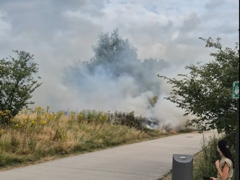 De brand bleef beperkt tot een strook dor gras, maar veroorzaakte wel heel wat rookontwikkeling.