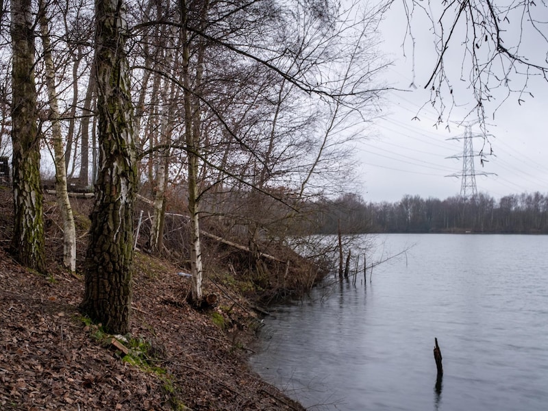 De BEGO-put in Schelle.