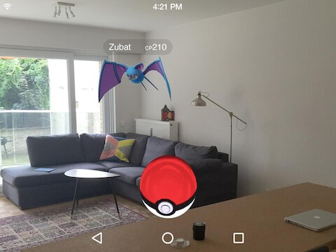 Zubat in de woonkamer