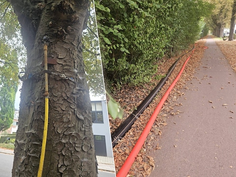 Maatregelen stad Gent tegen aanhoudende droogte en werken station Gent-Sint-Pieters