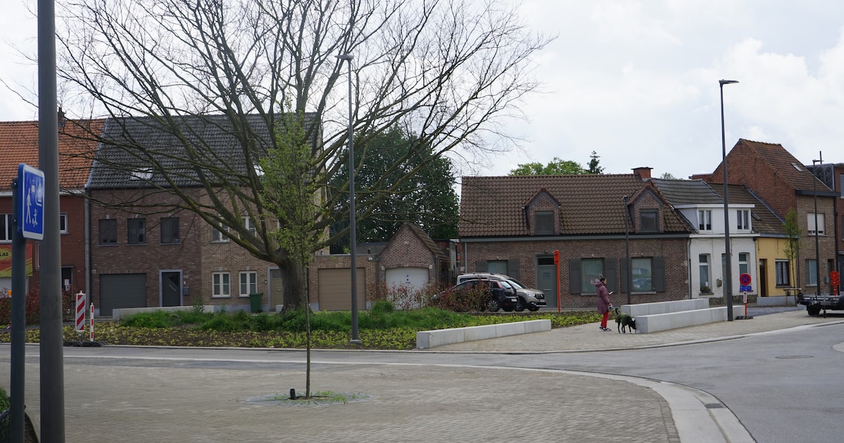 Frustratie over aanslepende wegenwerken in Zwijndrecht: “Nu ook nog monumentale beuk gesneuveld”