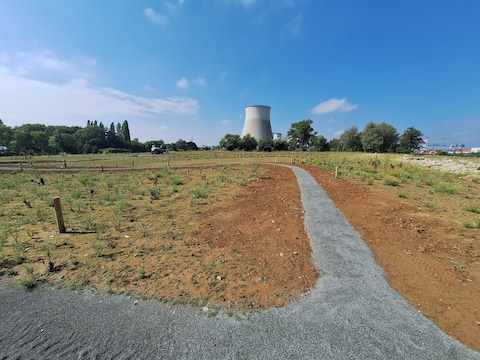 Het nieuwe natuurpark Darse opent volgende week de deuren.