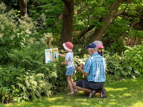 Met speurtochten en bewegwijzerde wandelingen in de tuin wil Arboretum Kalmthout kinderen en families laten genieten van een leerrijk dagje in het groen, zoals momenteel de zomerroute over Tuindiva’s (t/m 31 augustus).