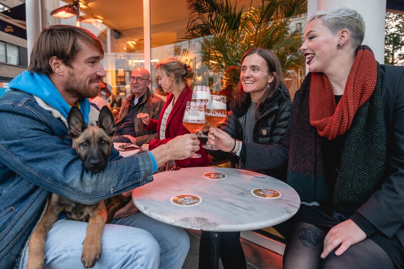 Modeste Bierfestival.