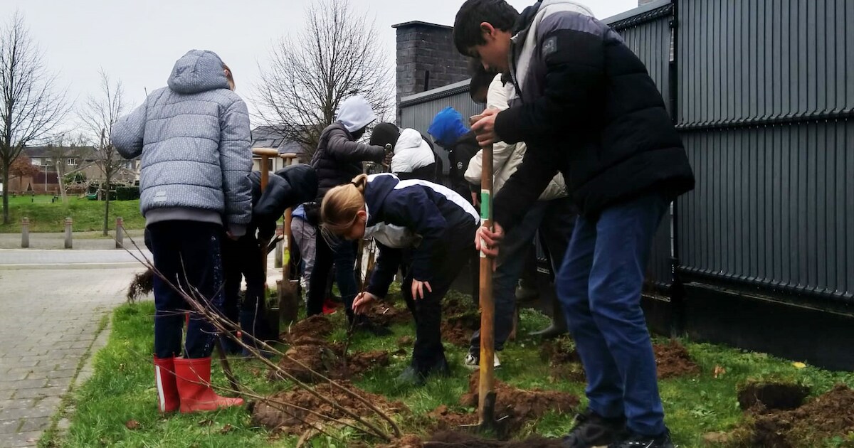 Schelle wil twee Wonderwoudjes aanleggen