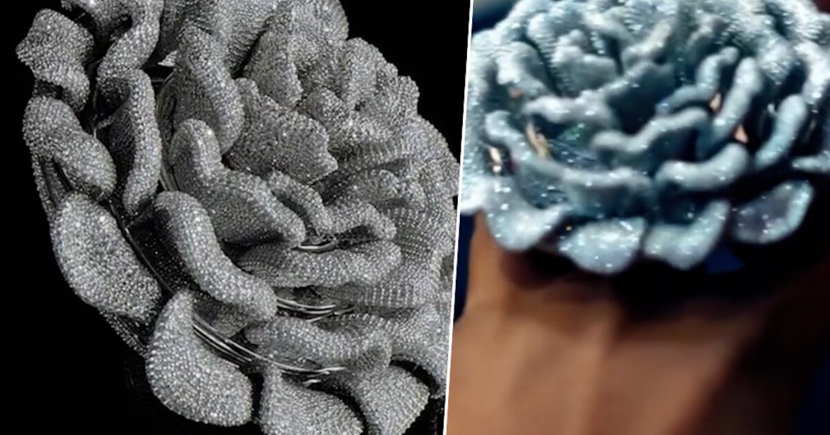 Unieke ring verpulvert wereldrecord meeste diamanten in één ring ...